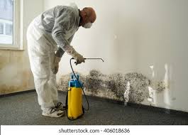 Reliable Maxwell, CA Mold Removal Solutions